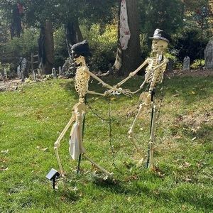 Meet your Posher, Janice